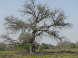 img59